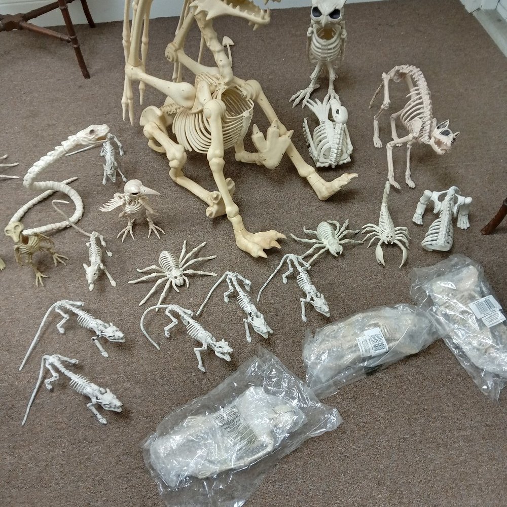 Halloween Animal Skeleton, Spooky Scene Party Favors Décor, Lot Sales